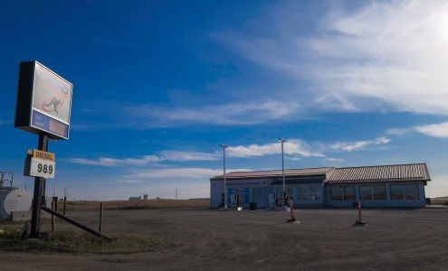 Blue Horizon Café & DOMO Gas Colonsay