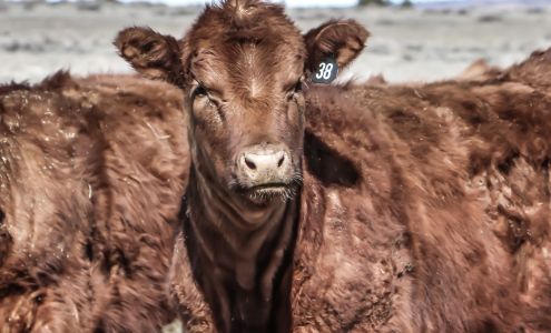 OLS Tubs Middle Lake