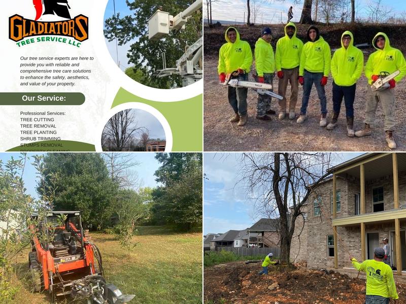Gladiators Tree Service LLC