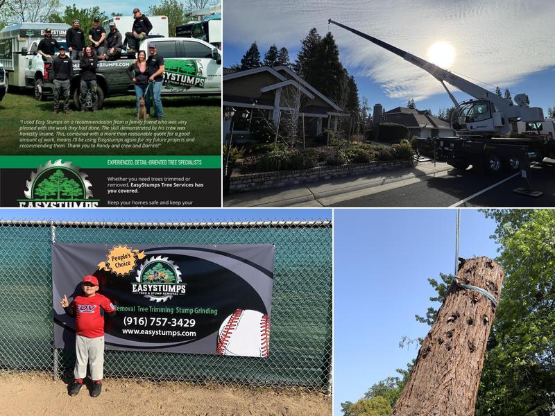 EASYSTUMPS TREE SERVICES CORP