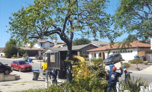 Rick's Tree Services