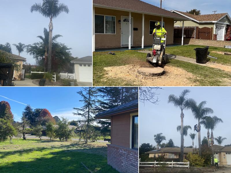 Mid-State Tree Service