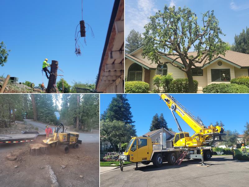 J&A Tree Service
