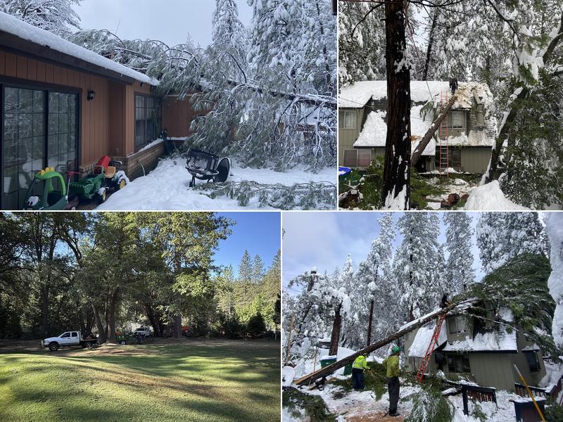 Sindelar Tree Service