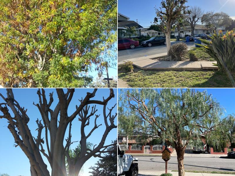 Larry's Tree Service