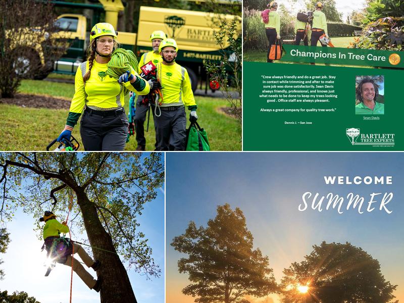 Bartlett Tree Experts