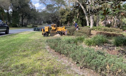 Comly's Stump Grinding, LLC 371 N Goodwin St, Lake Helen Florida 32744