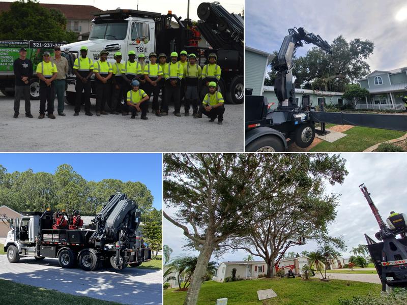 TREE SERVICE EXPRESS, INC.