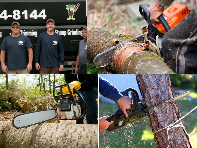 Mike's Tree Services