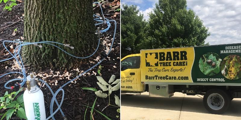 Barr Tree Care