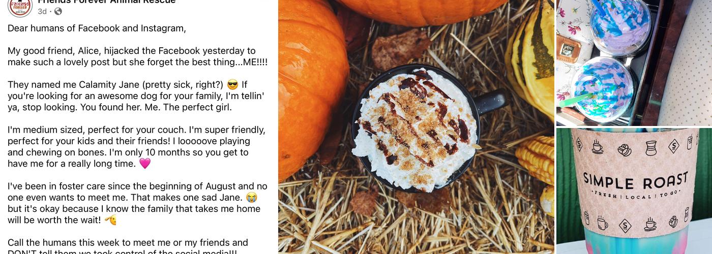 Simple Roast Coffee - West