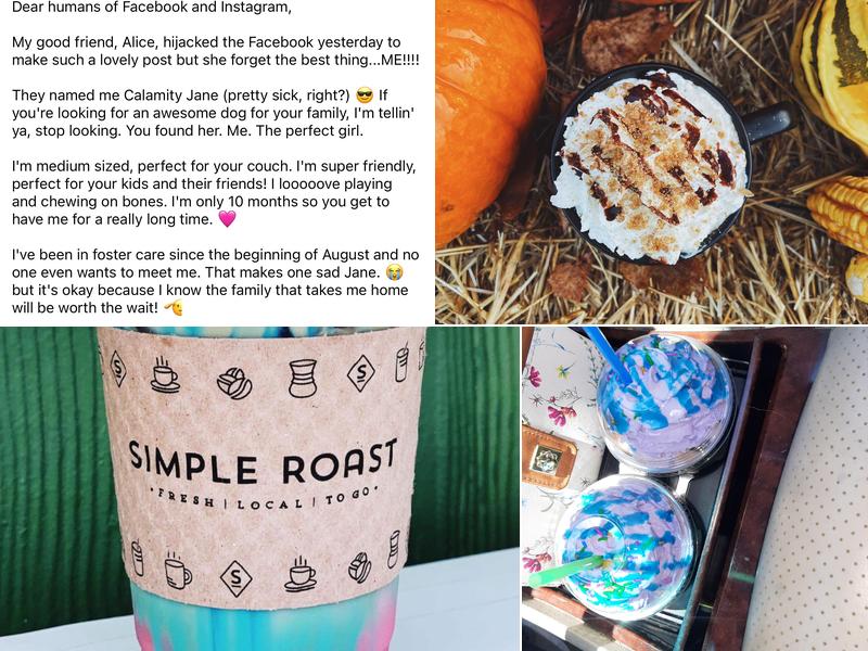 Simple Roast Coffee - West