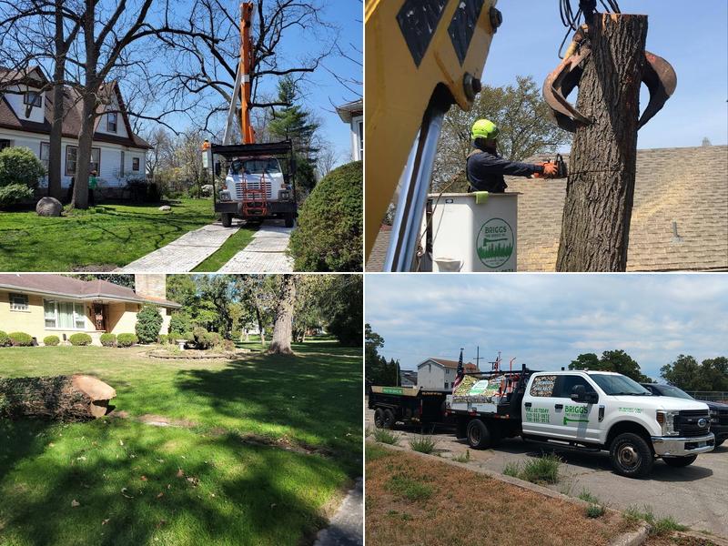 Briggs Tree Service, Inc.