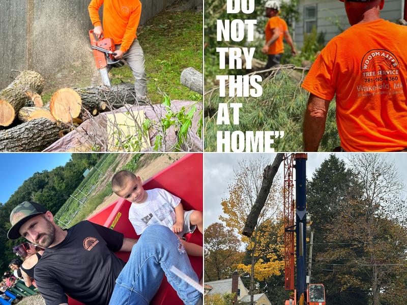 Woodmaster Tree Service