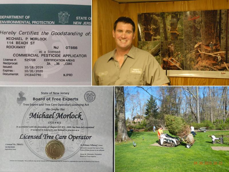 Cutters Tree Services Inc