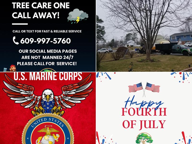 Good Tree & Stump Removal