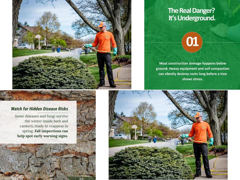 Ahlum & Arbor Tree Preservation