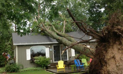 Pro Tree Services LLC 2683 All Creatures Ln, Baileys Harbor Wisconsin 54202