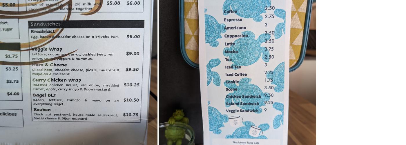The Painted Turtle Menu