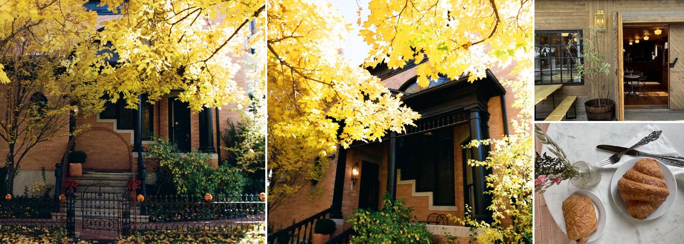 Cafe 140B at Ellerbeck B&B