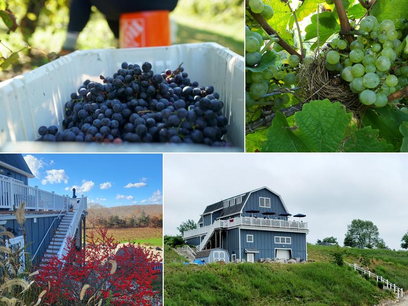 Preston Ridge Vineyard 100 Miller Rd, Preston