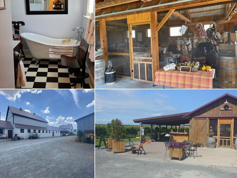 Crow Vineyard & Winery 12441 Vansant Corner Rd, Kennedyville