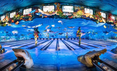 Fun Mountain Ridgedale