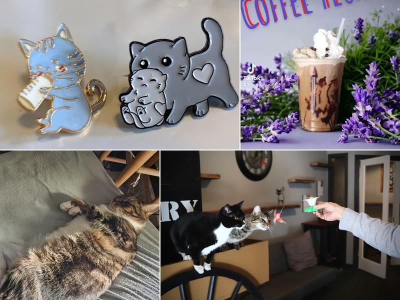 Coal Cats Cafe 209 W Broad St, Tamaqua