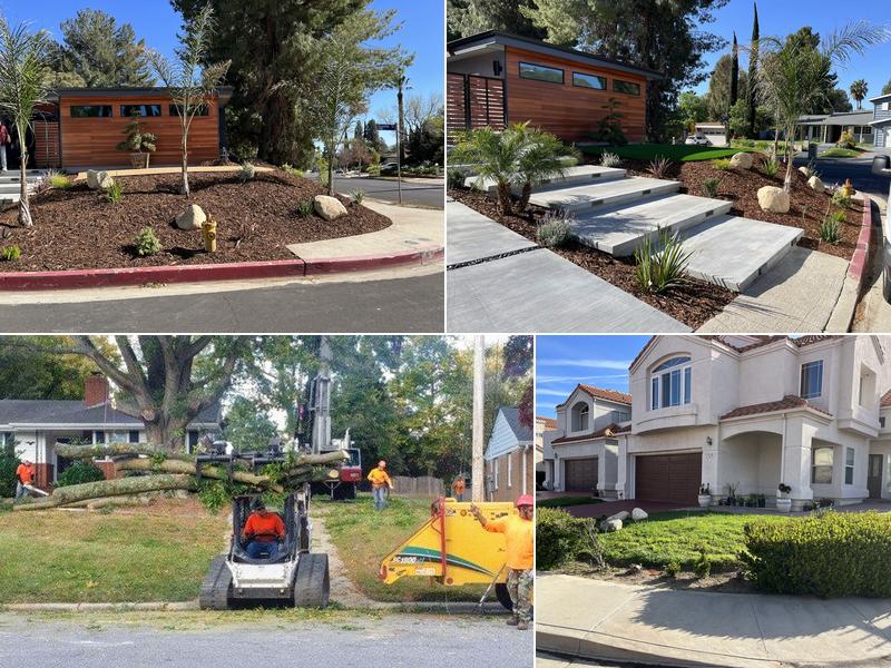 Tree Care and Service