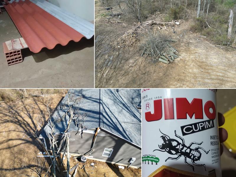 Clean Cut Tree Service, Llc