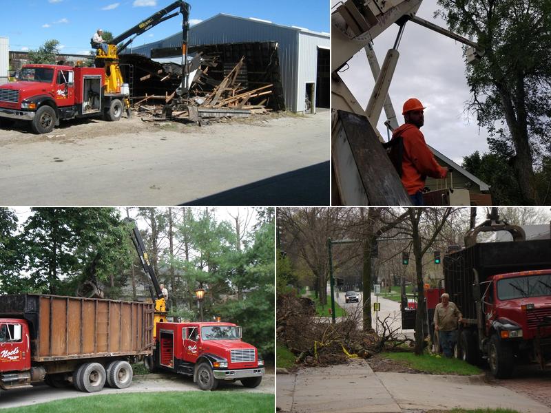 Noel's Tree & Crane Service Inc