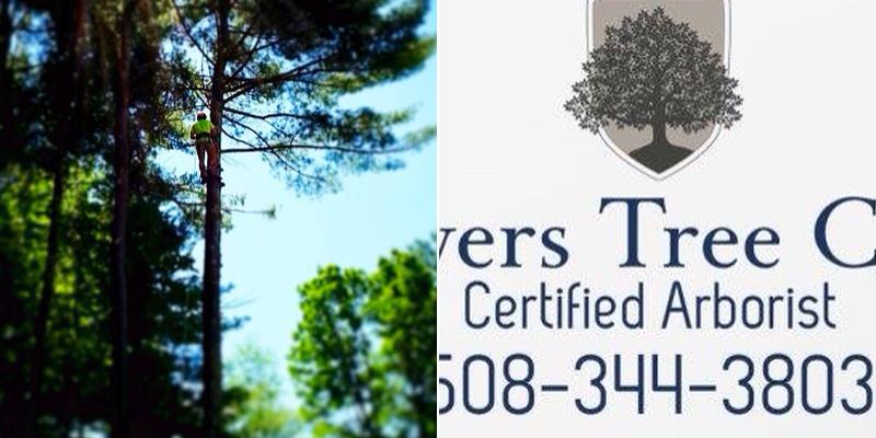 Powers Tree Care