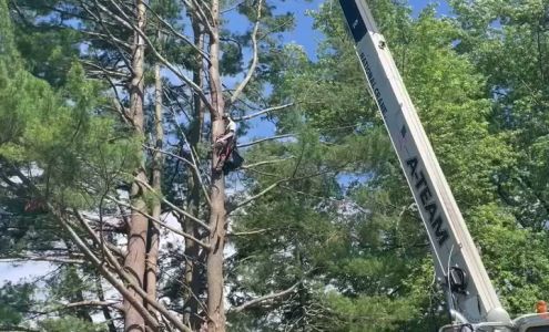 Nartowicz Tree Service 337 Athol-Richmond Rd, Royalston Massachusetts 01368