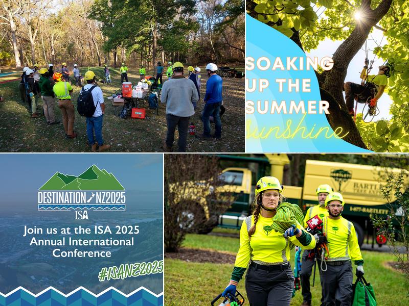 Bartlett Tree Experts