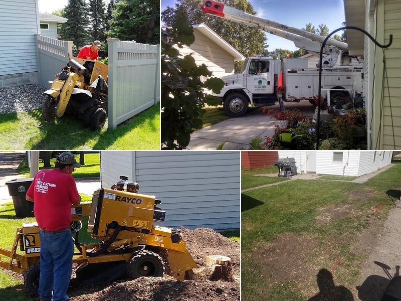 Paul's Stump Removal