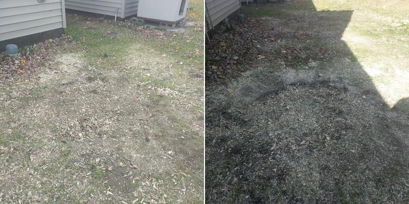 Wood Chucks Tree Service