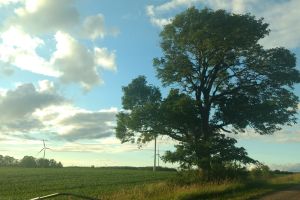 Ashfield Service Centre 36211 Belgrave Rd, Lucknow Ontario N0G 2H0