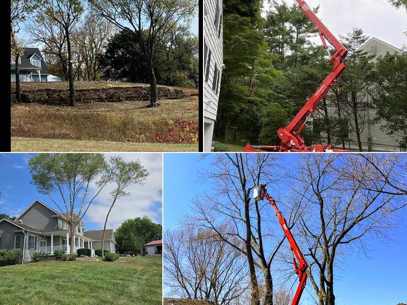 Barker's All Star Tree Care