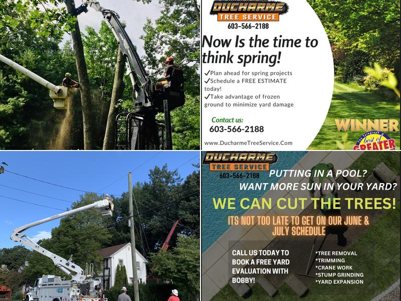 Ducharme Tree Service LLC