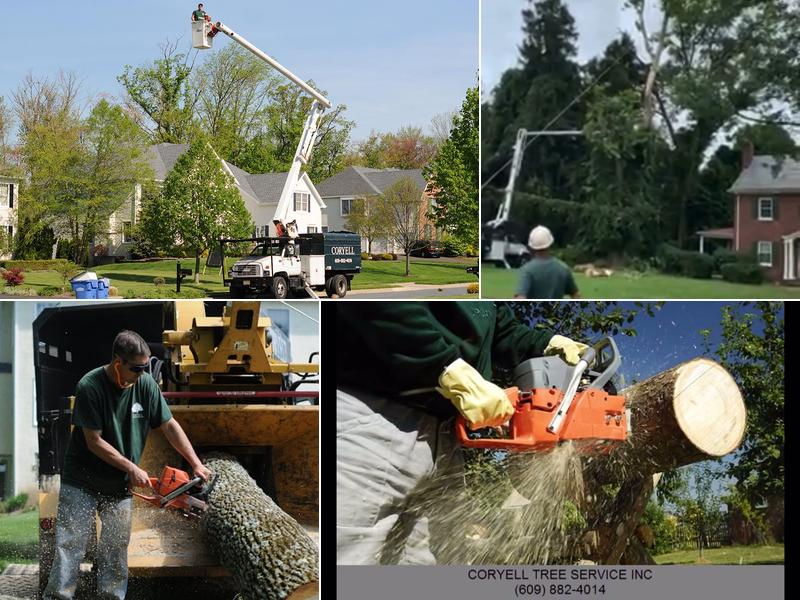 Coryell Tree Service Inc