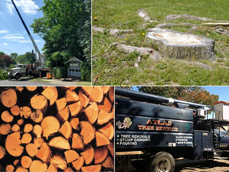 Atlas Tree Service