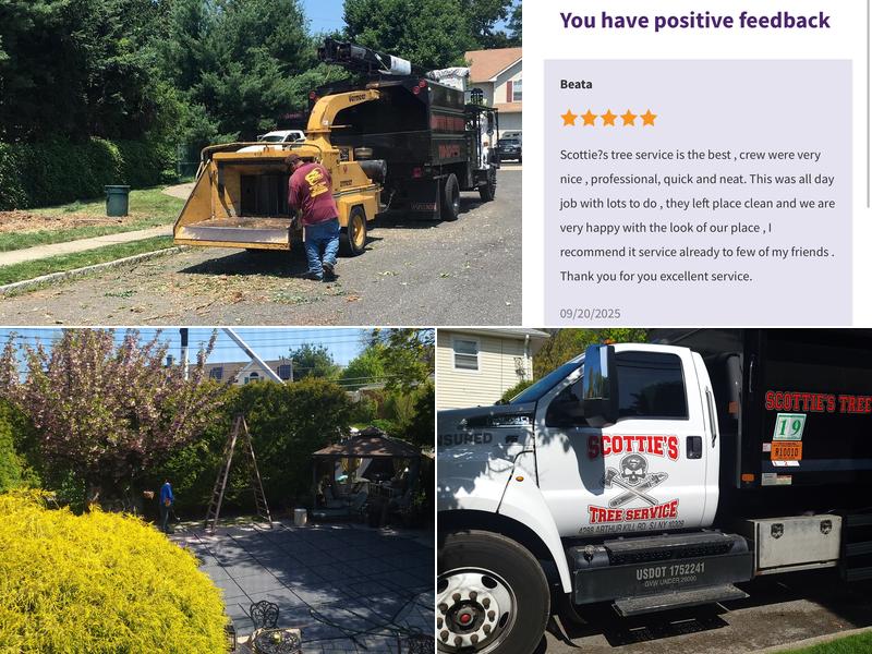 Scottie’s Tree Service
