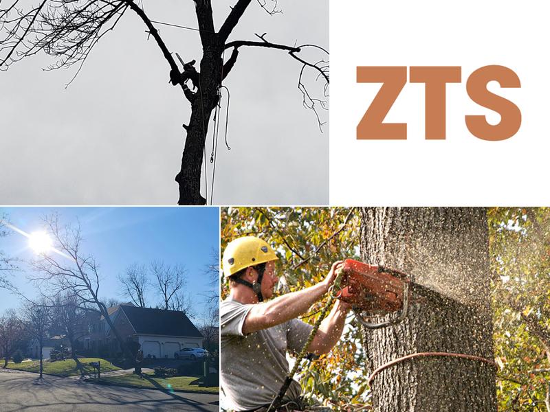 Zack's Tree Services LLC