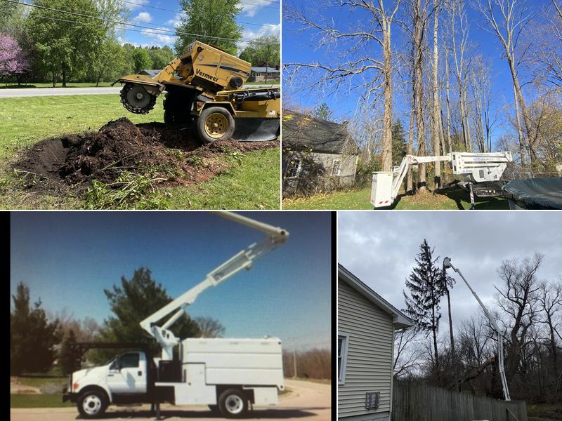 JT'S Tree Service LLC