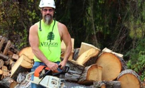 Nelson Tree Company