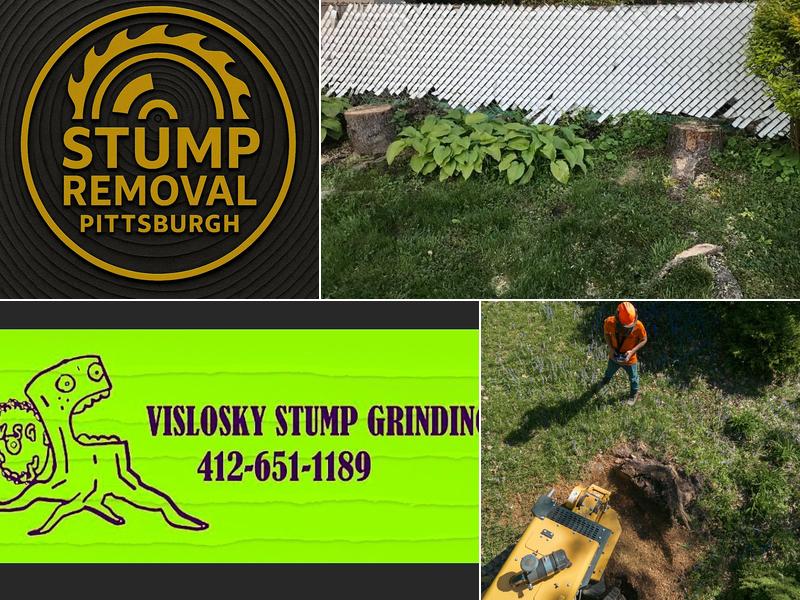 Stump Removal Pittsburgh