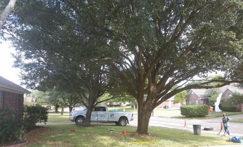 Brian's Tree Service 14245 Hwy 6, Valley Mills Texas 76689