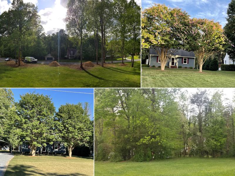 Masters Touch Tree Service