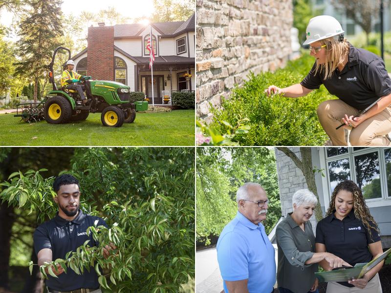 The Davey Tree Expert Company