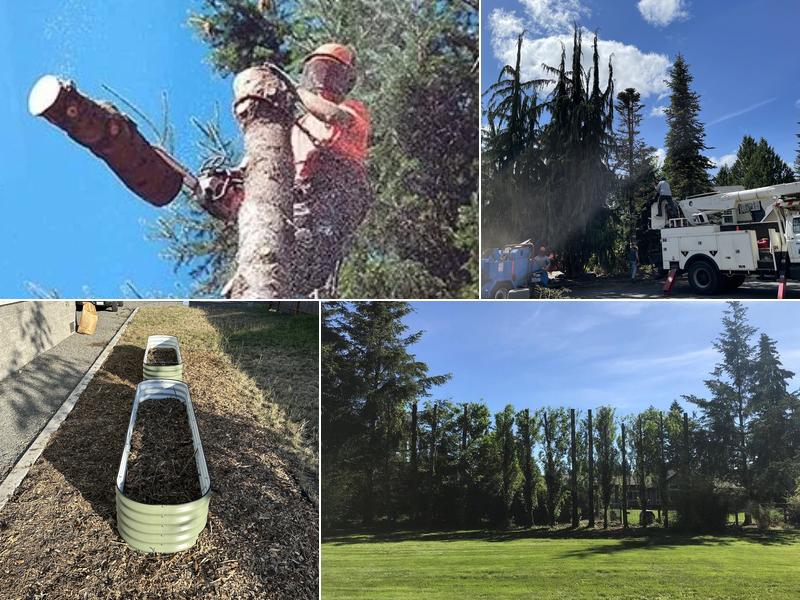 Double D Tree Service